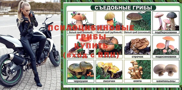 гашик Белокуриха