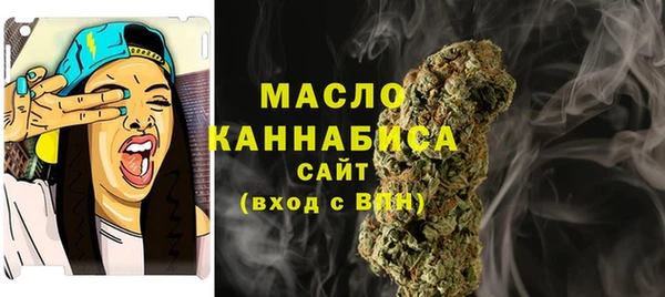 крисы Богородск
