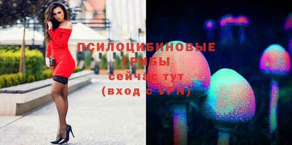 крисы Богородск